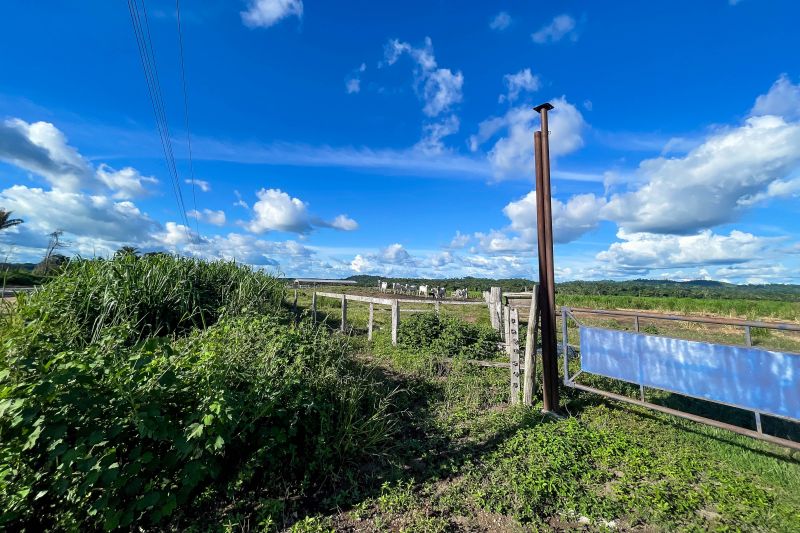  <div class='credito_fotos'>Foto: Rosivaldo Almeida / Agência Pará &nbsp;&nbsp;|&nbsp;&nbsp; <a href='/midias/2024/originais/18560_943d8958-eb2c-ac28-5c3b-5afbf8e86afd.jpg' download><i class='fa-solid fa-download'></i> Download</a></div>