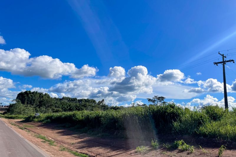  <div class='credito_fotos'>Foto: Rosivaldo Almeida / Agência Pará &nbsp;&nbsp;|&nbsp;&nbsp; <a href='/midias/2024/originais/18560_9fc4d347-e187-7029-aa3e-05a6b57c25bb.jpg' download><i class='fa-solid fa-download'></i> Download</a></div>