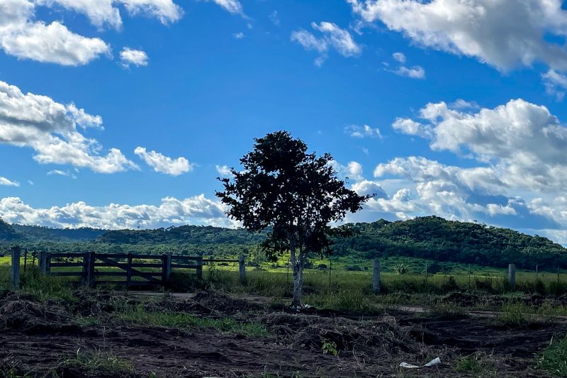  <div class='credito_fotos'>Foto: Rosivaldo Almeida / Agência Pará &nbsp;&nbsp;|&nbsp;&nbsp; <a href='/midias/2024/originais/18560_afaef0cc-ee68-7b57-31d9-e9d0c09c7bd3.jpg' download><i class='fa-solid fa-download'></i> Download</a></div>