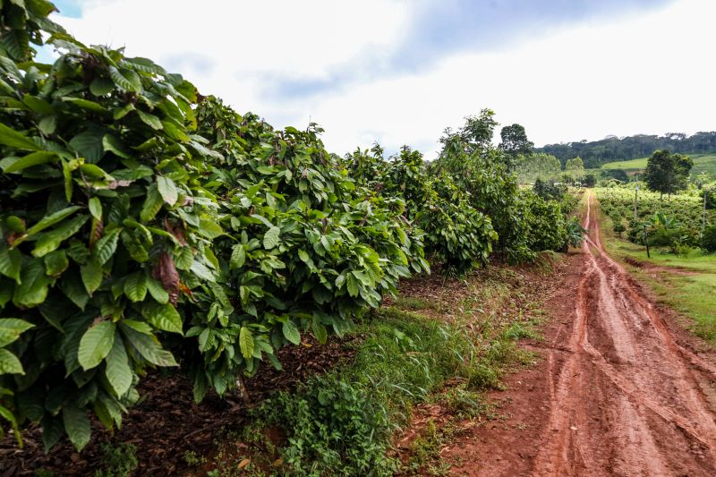  <div class='credito_fotos'>Foto: Pedro Guerreiro / Ag. Pará &nbsp;&nbsp;|&nbsp;&nbsp; <a href='/midias/2024/originais/18609_045b2f7d-c736-ef5c-342b-6e52703bcffa.jpg' download><i class='fa-solid fa-download'></i> Download</a></div>