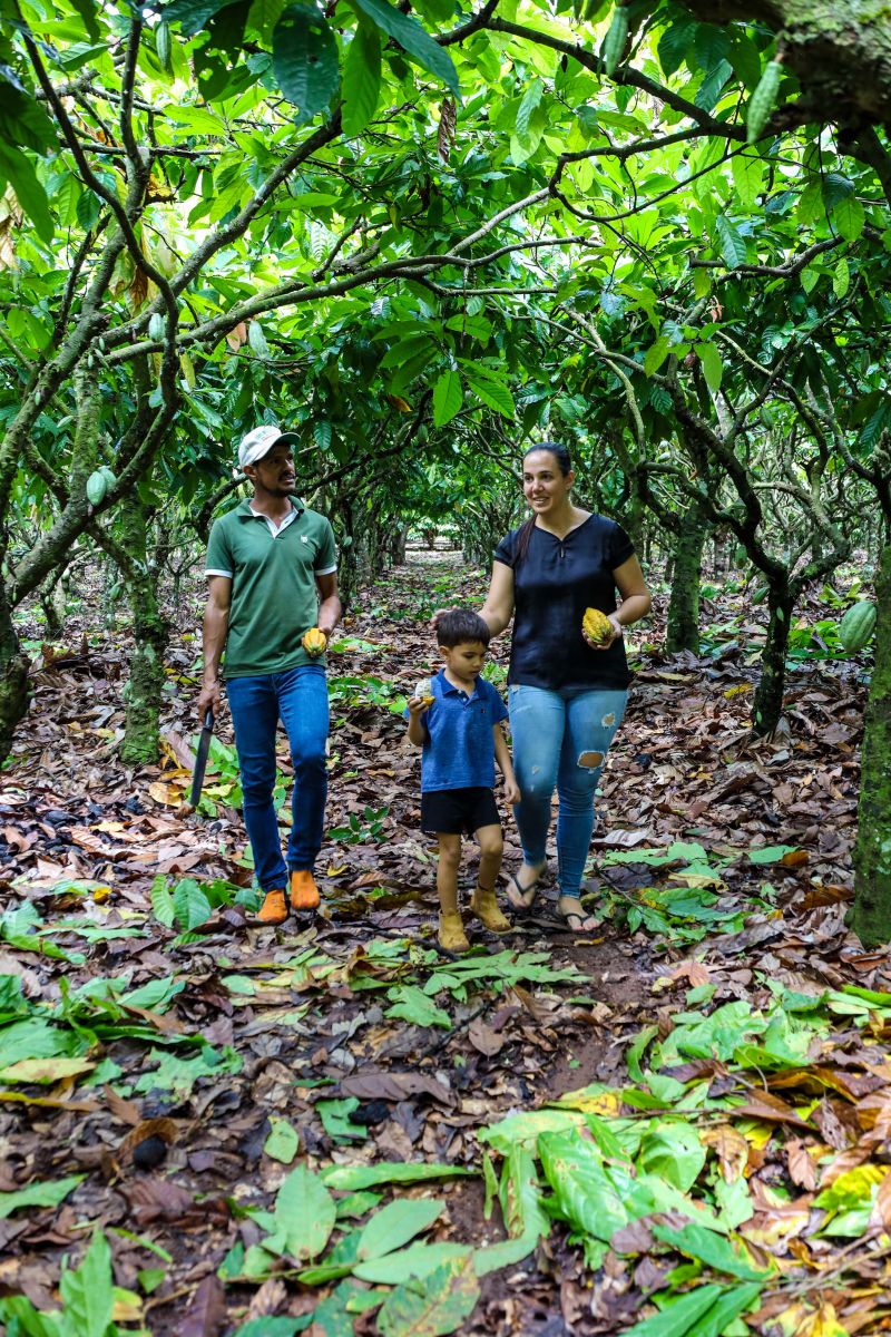  <div class='credito_fotos'>Foto: Pedro Guerreiro / Ag. Pará &nbsp;&nbsp;|&nbsp;&nbsp; <a href='/midias/2024/originais/18609_07a6b576-20e0-a56f-246f-b0c5f6e61571.jpg' download><i class='fa-solid fa-download'></i> Download</a></div>