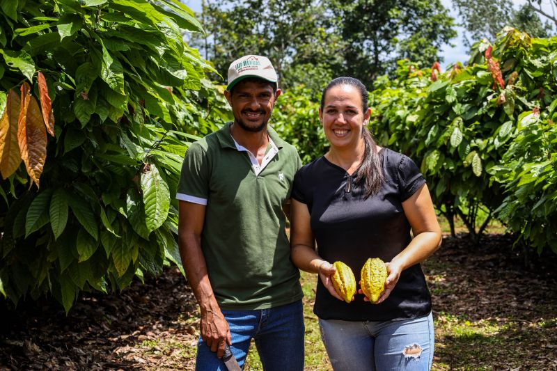  <div class='credito_fotos'>Foto: Pedro Guerreiro / Ag. Pará &nbsp;&nbsp;|&nbsp;&nbsp; <a href='/midias/2024/originais/18609_78a4e37a-9ec7-68e9-a8fb-c39d52d7487b.jpg' download><i class='fa-solid fa-download'></i> Download</a></div>