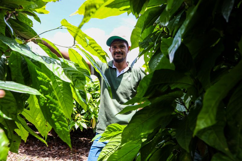  <div class='credito_fotos'>Foto: Pedro Guerreiro / Ag. Pará &nbsp;&nbsp;|&nbsp;&nbsp; <a href='/midias/2024/originais/18609_80effa68-d2a7-1439-7987-aca3778fd7d1.jpg' download><i class='fa-solid fa-download'></i> Download</a></div>