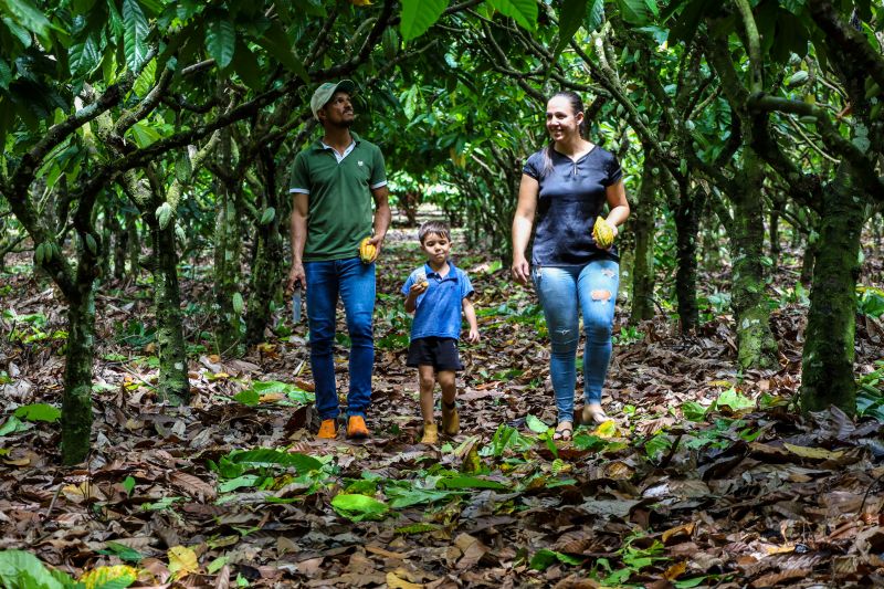  <div class='credito_fotos'>Foto: Pedro Guerreiro / Ag. Pará &nbsp;&nbsp;|&nbsp;&nbsp; <a href='/midias/2024/originais/18609_88b8c84d-a479-6d2d-5627-47d2cc425275.jpg' download><i class='fa-solid fa-download'></i> Download</a></div>