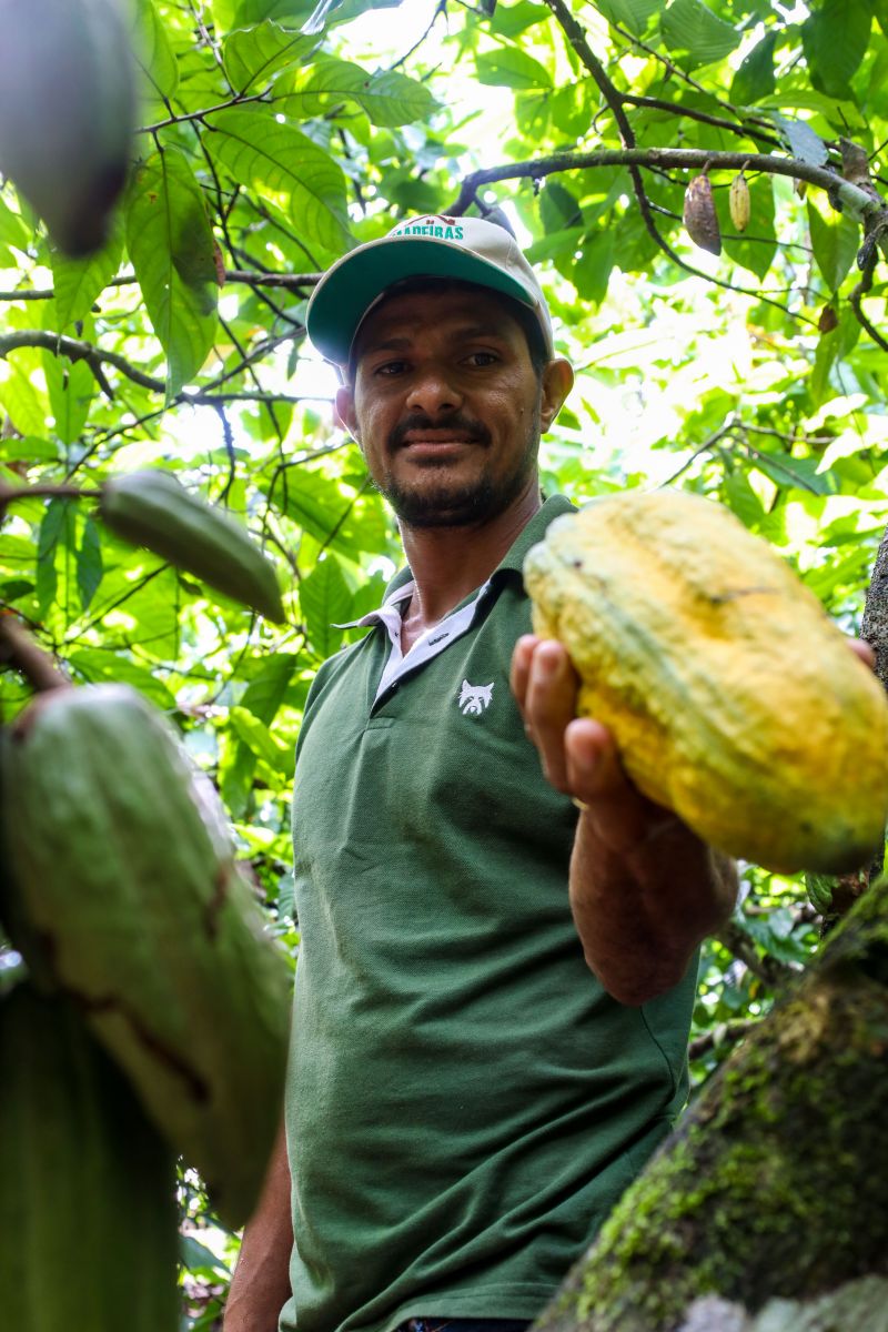  <div class='credito_fotos'>Foto: Pedro Guerreiro / Ag. Pará &nbsp;&nbsp;|&nbsp;&nbsp; <a href='/midias/2024/originais/18609_91e3db85-bd72-c819-b322-68f1f4c4513c.jpg' download><i class='fa-solid fa-download'></i> Download</a></div>