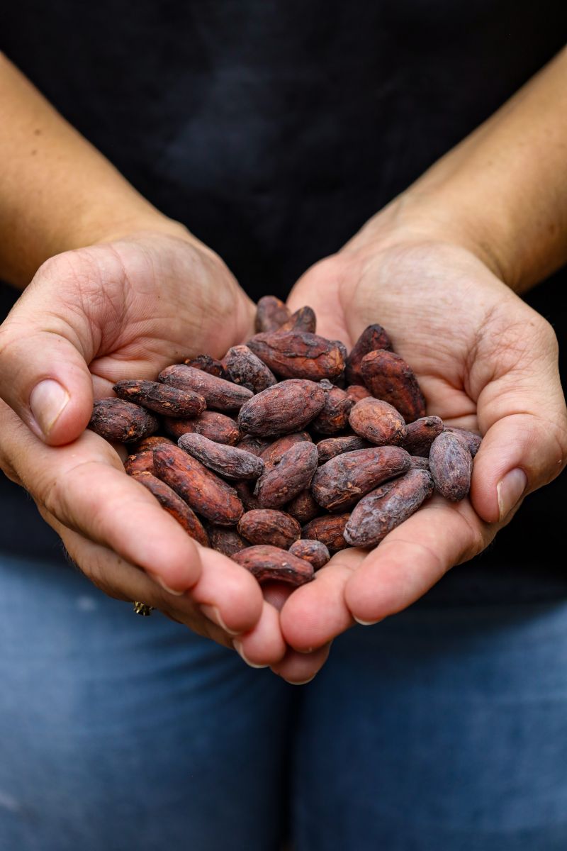  <div class='credito_fotos'>Foto: Pedro Guerreiro / Ag. Pará &nbsp;&nbsp;|&nbsp;&nbsp; <a href='/midias/2024/originais/18609_b6afa192-af79-39cc-7b18-ae05753af049.jpg' download><i class='fa-solid fa-download'></i> Download</a></div>