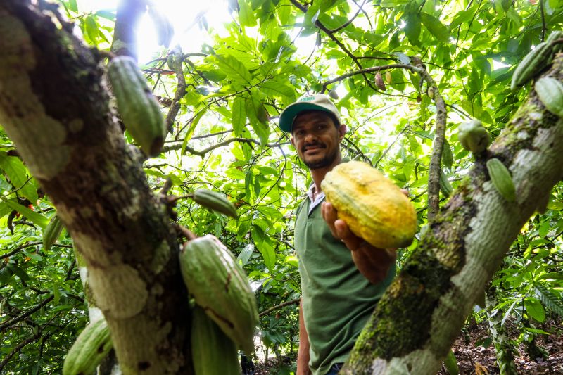  <div class='credito_fotos'>Foto: Pedro Guerreiro / Ag. Pará &nbsp;&nbsp;|&nbsp;&nbsp; <a href='/midias/2024/originais/18609_bc7b69de-8c9d-c9c3-1f6f-c5527848fe03.jpg' download><i class='fa-solid fa-download'></i> Download</a></div>