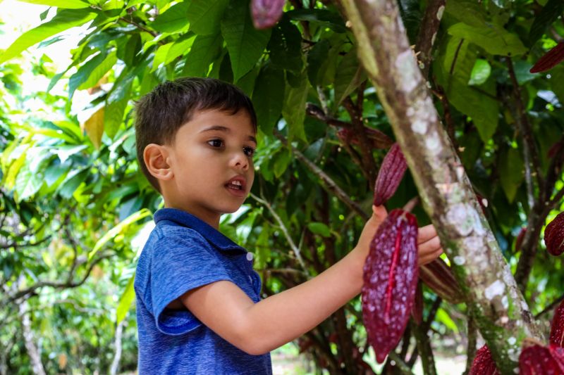  <div class='credito_fotos'>Foto: Pedro Guerreiro / Ag. Pará &nbsp;&nbsp;|&nbsp;&nbsp; <a href='/midias/2024/originais/18609_c019c782-4aa6-c9d9-aa6d-5a3a2f94522a.jpg' download><i class='fa-solid fa-download'></i> Download</a></div>