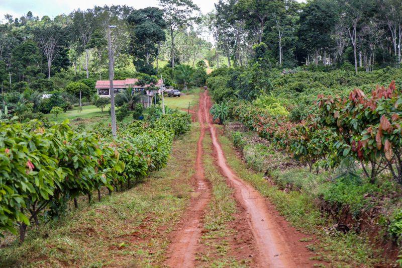  <div class='credito_fotos'>Foto: Pedro Guerreiro / Ag. Pará &nbsp;&nbsp;|&nbsp;&nbsp; <a href='/midias/2024/originais/18609_c4c5254f-4391-09a5-6606-1ae7c920779d.jpg' download><i class='fa-solid fa-download'></i> Download</a></div>