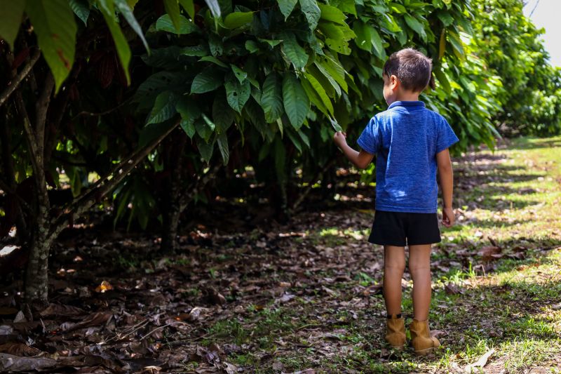  <div class='credito_fotos'>Foto: Pedro Guerreiro / Ag. Pará &nbsp;&nbsp;|&nbsp;&nbsp; <a href='/midias/2024/originais/18609_c4e02487-4597-0d81-4eb1-2bfc7e1ea431.jpg' download><i class='fa-solid fa-download'></i> Download</a></div>