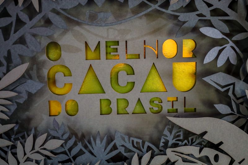  <div class='credito_fotos'>Foto: Pedro Guerreiro / Ag. Pará &nbsp;&nbsp;|&nbsp;&nbsp; <a href='/midias/2024/originais/18609_c71914a4-a971-4108-d5b1-c155f79ff62b.jpg' download><i class='fa-solid fa-download'></i> Download</a></div>