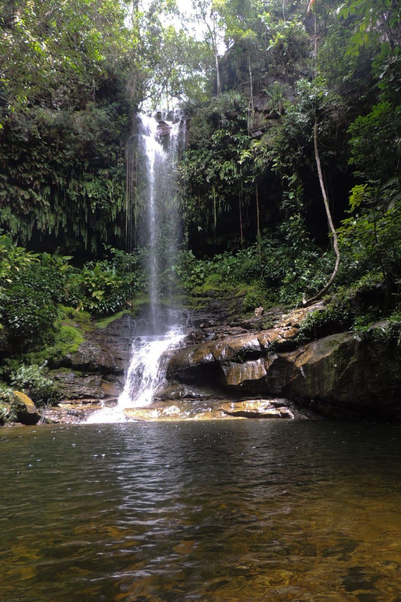  <div class='credito_fotos'>Foto: Ascom Ideflor-Bio &nbsp;&nbsp;|&nbsp;&nbsp; <a href='/midias/2024/originais/18631_19b00603-8199-fc6a-f63d-17e3801a0e59.jpg' download><i class='fa-solid fa-download'></i> Download</a></div>