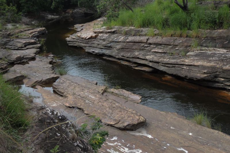  <div class='credito_fotos'>Foto: Ascom Ideflor-Bio &nbsp;&nbsp;|&nbsp;&nbsp; <a href='/midias/2024/originais/18631_20042e3a-7201-f3d5-a6a0-8acf1e7eb132.jpg' download><i class='fa-solid fa-download'></i> Download</a></div>