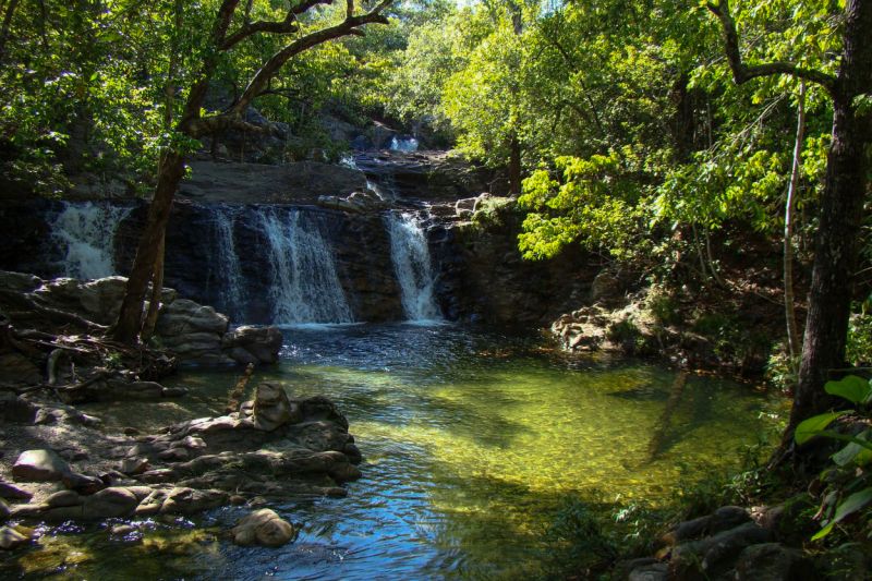  <div class='credito_fotos'>Foto: Ascom Ideflor-Bio &nbsp;&nbsp;|&nbsp;&nbsp; <a href='/midias/2024/originais/18631_23d1679a-9790-f17a-979c-c76eb62e140d.jpg' download><i class='fa-solid fa-download'></i> Download</a></div>