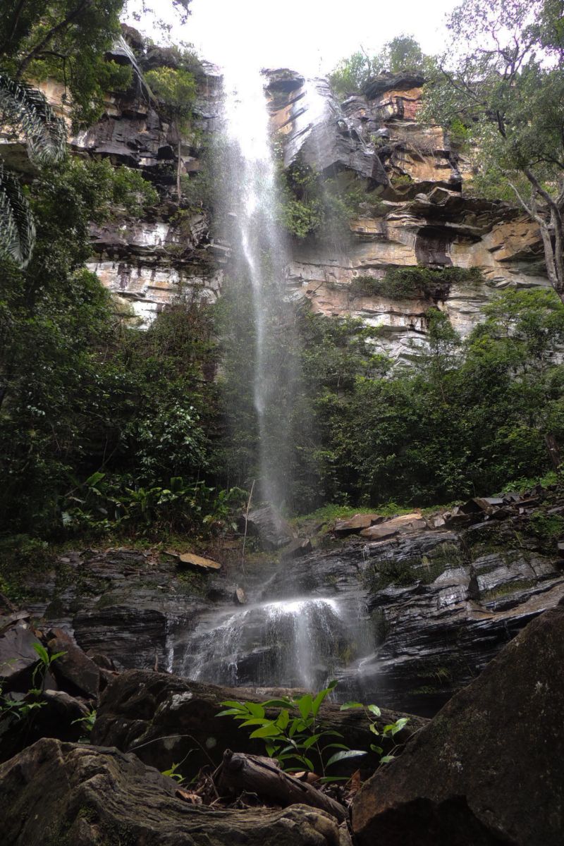  <div class='credito_fotos'>Foto: Ascom Ideflor-Bio &nbsp;&nbsp;|&nbsp;&nbsp; <a href='/midias/2024/originais/18631_2f4cf9c5-6dad-6c85-af09-cc3ad84ffe1f.jpg' download><i class='fa-solid fa-download'></i> Download</a></div>