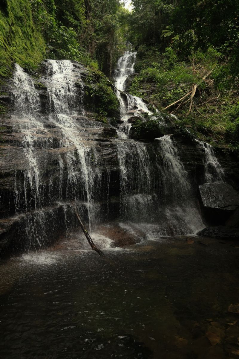  <div class='credito_fotos'>Foto: Ascom Ideflor-Bio &nbsp;&nbsp;|&nbsp;&nbsp; <a href='/midias/2024/originais/18631_35a92fa7-1789-6eb1-0c85-3e0e819493a9.jpg' download><i class='fa-solid fa-download'></i> Download</a></div>