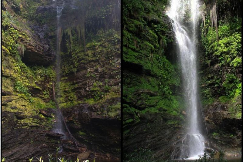  <div class='credito_fotos'>Foto: Ascom Ideflor-Bio &nbsp;&nbsp;|&nbsp;&nbsp; <a href='/midias/2024/originais/18631_38262bad-63a7-ca05-7eea-ca73e1e56044.jpg' download><i class='fa-solid fa-download'></i> Download</a></div>