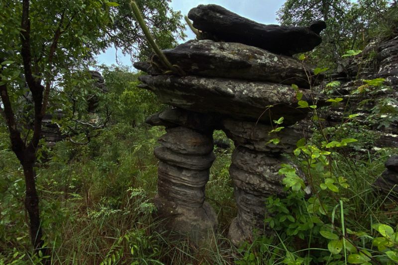  <div class='credito_fotos'>Foto: Ascom Ideflor-Bio &nbsp;&nbsp;|&nbsp;&nbsp; <a href='/midias/2024/originais/18631_3ed1535b-ffae-38db-f041-2de647e5c7b6.jpg' download><i class='fa-solid fa-download'></i> Download</a></div>