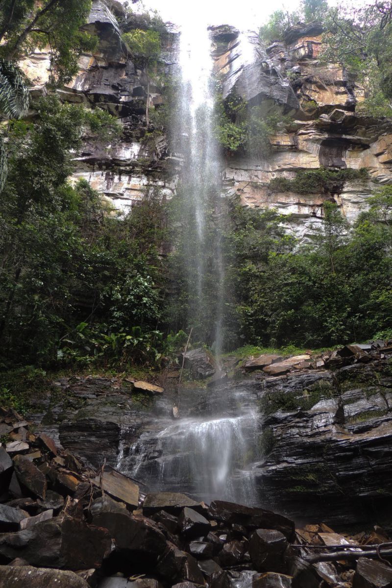  <div class='credito_fotos'>Foto: Ascom Ideflor-Bio &nbsp;&nbsp;|&nbsp;&nbsp; <a href='/midias/2024/originais/18631_477d8d20-c10f-1dca-d9f2-5400e88f2f6f.jpg' download><i class='fa-solid fa-download'></i> Download</a></div>