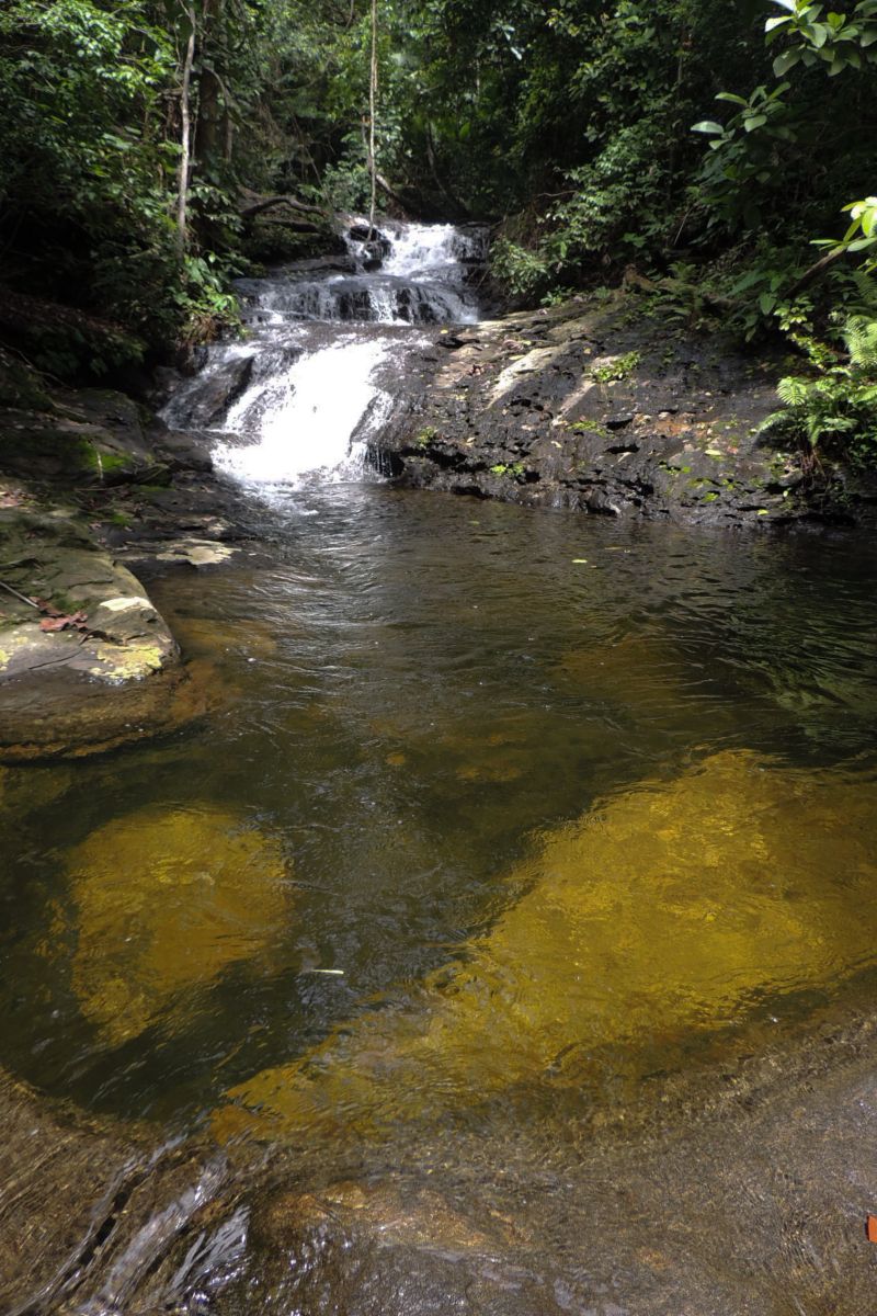  <div class='credito_fotos'>Foto: Ascom Ideflor-Bio &nbsp;&nbsp;|&nbsp;&nbsp; <a href='/midias/2024/originais/18631_4cb85fc0-4596-cef5-561e-b89529a6839c.jpg' download><i class='fa-solid fa-download'></i> Download</a></div>