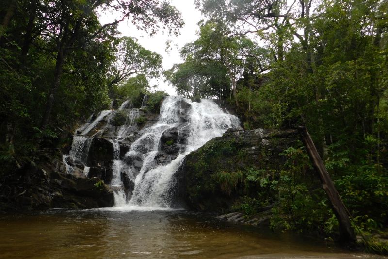  <div class='credito_fotos'>Foto: Ascom Ideflor-Bio &nbsp;&nbsp;|&nbsp;&nbsp; <a href='/midias/2024/originais/18631_53f14da6-0edd-9311-f7cf-8b8dbcc43489.jpg' download><i class='fa-solid fa-download'></i> Download</a></div>