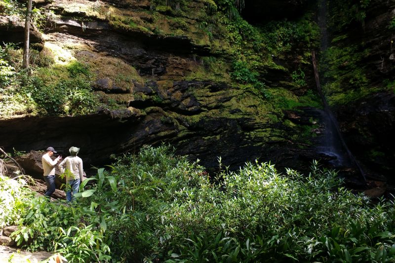  <div class='credito_fotos'>Foto: Ascom Ideflor-Bio &nbsp;&nbsp;|&nbsp;&nbsp; <a href='/midias/2024/originais/18631_59ed0ba3-1ea1-78bc-1e3d-e9d4c9f7a8f4.jpg' download><i class='fa-solid fa-download'></i> Download</a></div>