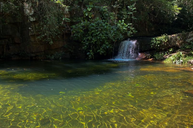  <div class='credito_fotos'>Foto: Ascom Ideflor-Bio &nbsp;&nbsp;|&nbsp;&nbsp; <a href='/midias/2024/originais/18631_663f83e9-dbbc-4ee0-d346-71309bcfcaec.jpg' download><i class='fa-solid fa-download'></i> Download</a></div>