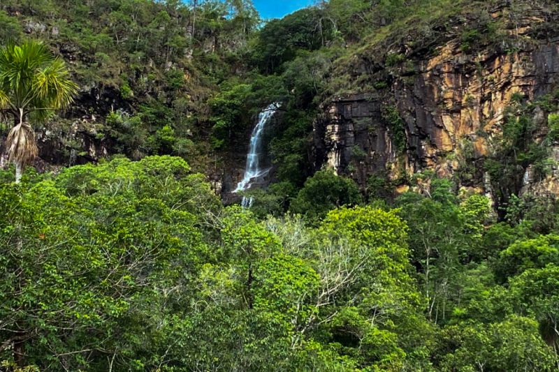  <div class='credito_fotos'>Foto: Ascom Ideflor-Bio &nbsp;&nbsp;|&nbsp;&nbsp; <a href='/midias/2024/originais/18631_67052024-12b6-d309-0044-7e81b9712211.jpg' download><i class='fa-solid fa-download'></i> Download</a></div>