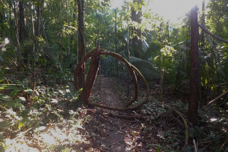  <div class='credito_fotos'>Foto: Ascom Ideflor-Bio &nbsp;&nbsp;|&nbsp;&nbsp; <a href='/midias/2024/originais/18631_89ae1ecb-ea6a-3472-5c9c-4fd130dfd5f4.jpg' download><i class='fa-solid fa-download'></i> Download</a></div>