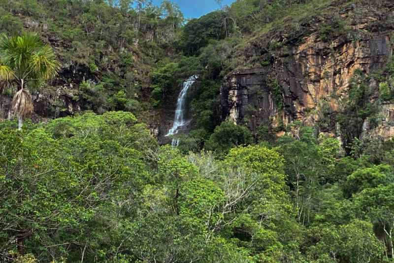  <div class='credito_fotos'>Foto: Ascom Ideflor-Bio &nbsp;&nbsp;|&nbsp;&nbsp; <a href='/midias/2024/originais/18631_89debe41-b56e-0cf6-b78b-46e72e272e1b.jpg' download><i class='fa-solid fa-download'></i> Download</a></div>