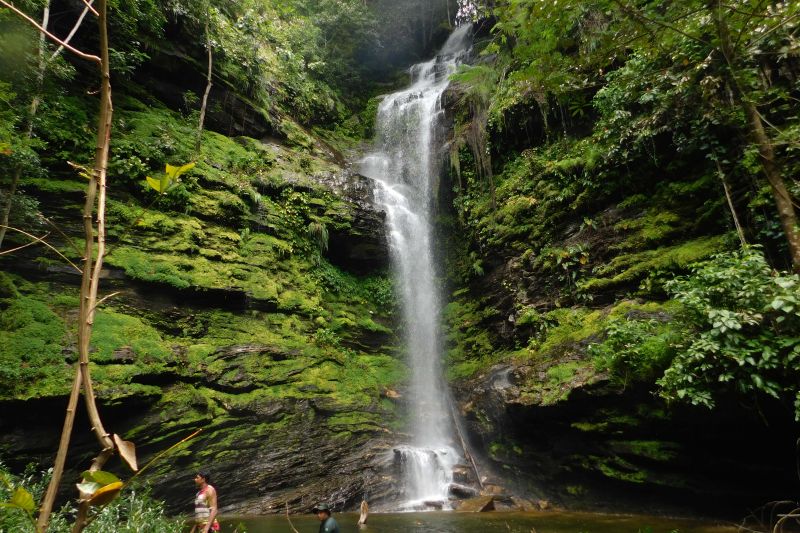  <div class='credito_fotos'>Foto: Ascom Ideflor-Bio &nbsp;&nbsp;|&nbsp;&nbsp; <a href='/midias/2024/originais/18631_90d31c5a-2040-a870-203f-76c559dfc0a4.jpg' download><i class='fa-solid fa-download'></i> Download</a></div>