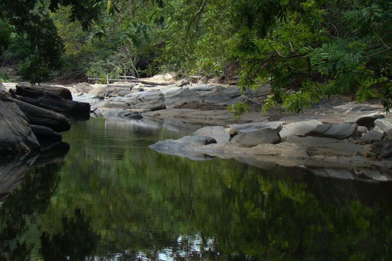  <div class='credito_fotos'>Foto: Ascom Ideflor-Bio &nbsp;&nbsp;|&nbsp;&nbsp; <a href='/midias/2024/originais/18631_9f4de83a-527d-2f7b-16b3-44d26bd32164.jpg' download><i class='fa-solid fa-download'></i> Download</a></div>