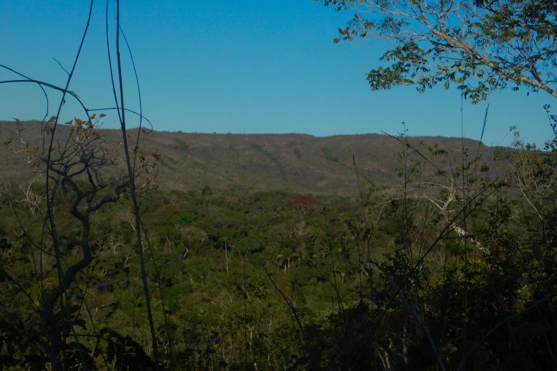  <div class='credito_fotos'>Foto: Ascom Ideflor-Bio &nbsp;&nbsp;|&nbsp;&nbsp; <a href='/midias/2024/originais/18631_a19d2542-f84f-5617-a054-4a000200f60c.jpg' download><i class='fa-solid fa-download'></i> Download</a></div>