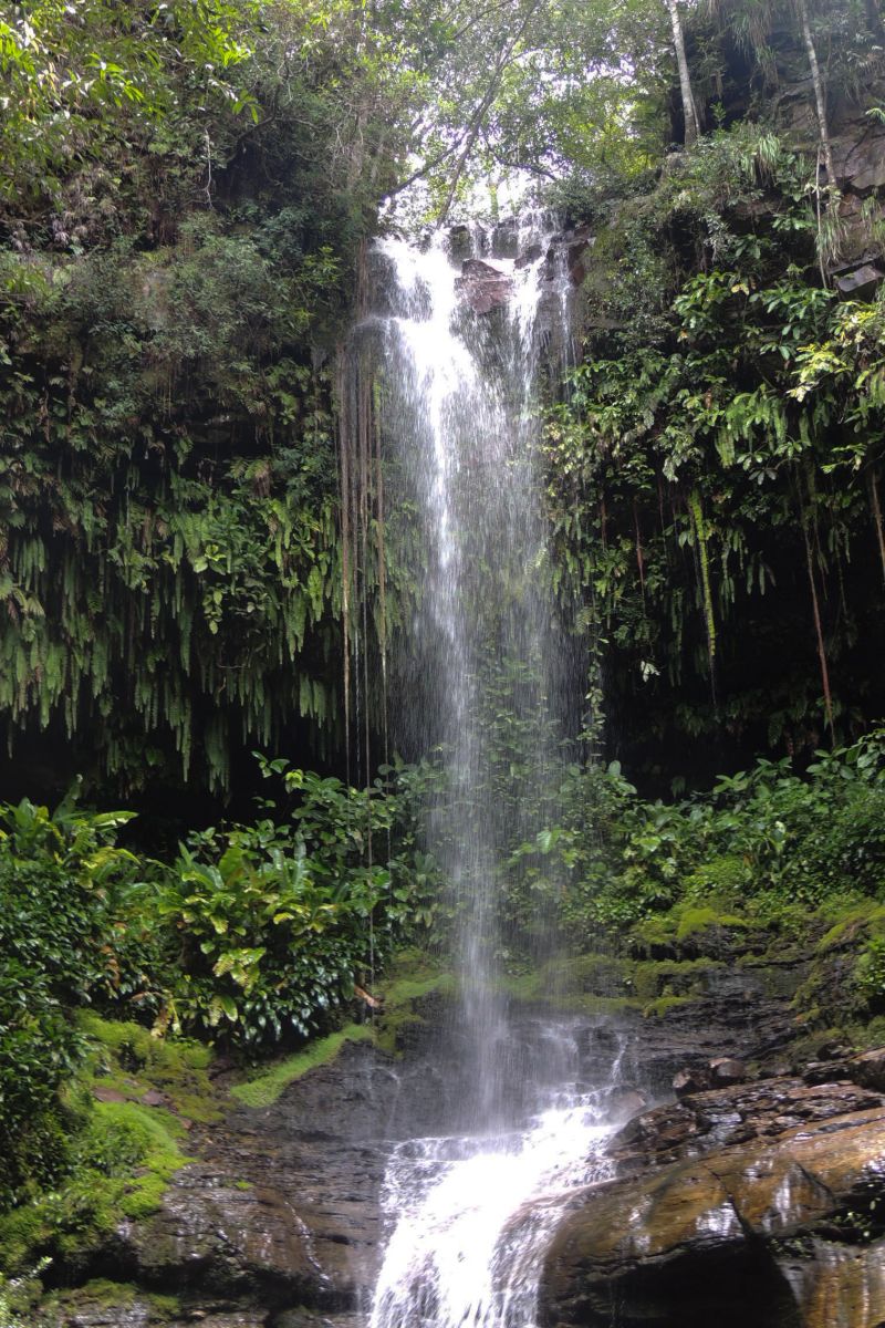  <div class='credito_fotos'>Foto: Ascom Ideflor-Bio &nbsp;&nbsp;|&nbsp;&nbsp; <a href='/midias/2024/originais/18631_a2bf9cd2-5b43-d6b7-eab4-17a21770f6b8.jpg' download><i class='fa-solid fa-download'></i> Download</a></div>