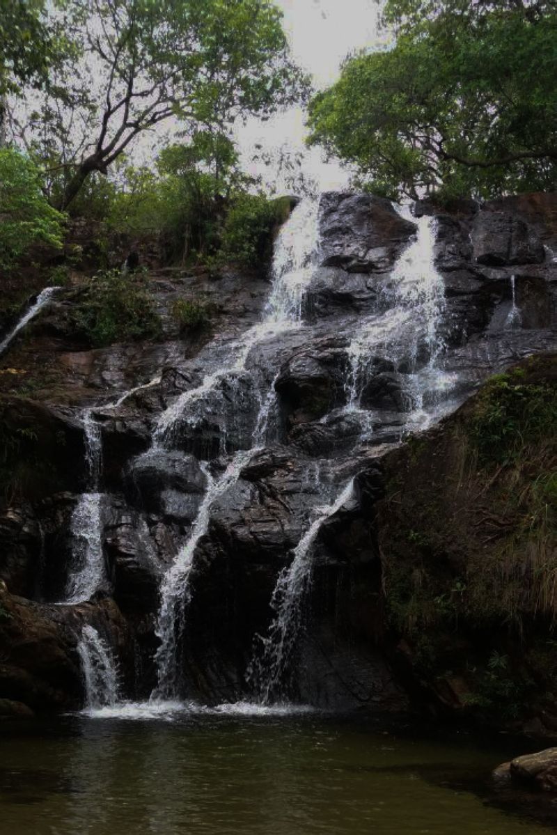  <div class='credito_fotos'>Foto: Ascom Ideflor-Bio &nbsp;&nbsp;|&nbsp;&nbsp; <a href='/midias/2024/originais/18631_b657588f-f9fc-948e-bddd-d8cee1aea170.jpg' download><i class='fa-solid fa-download'></i> Download</a></div>