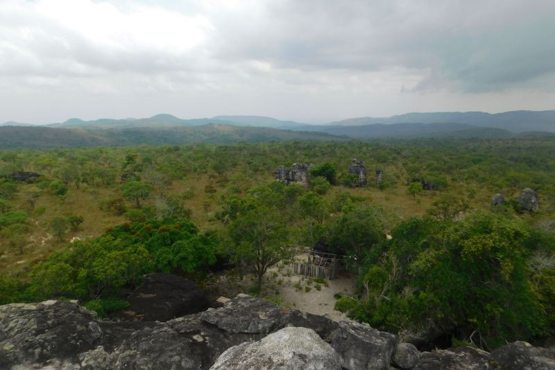  <div class='credito_fotos'>Foto: Ascom Ideflor-Bio &nbsp;&nbsp;|&nbsp;&nbsp; <a href='/midias/2024/originais/18631_b8c53734-3f42-a267-f9b3-9cbb6cb823c7.jpg' download><i class='fa-solid fa-download'></i> Download</a></div>