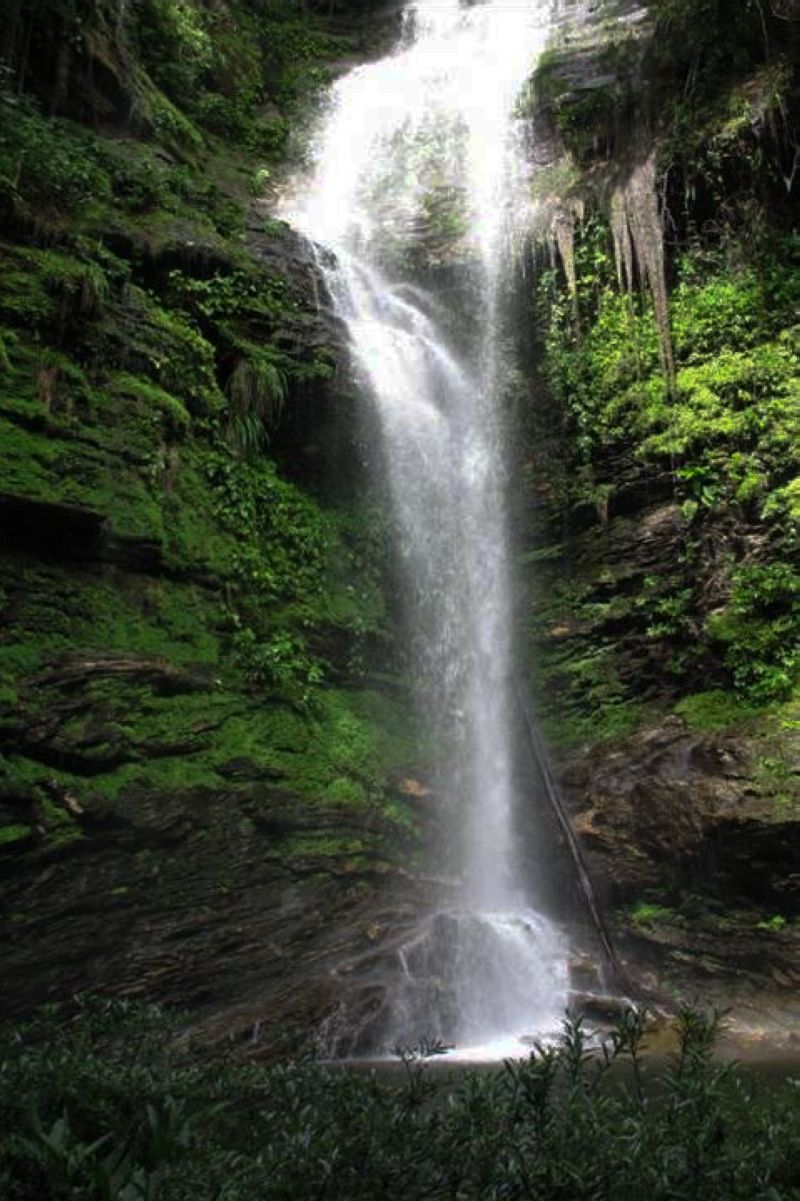  <div class='credito_fotos'>Foto: Ascom Ideflor-Bio &nbsp;&nbsp;|&nbsp;&nbsp; <a href='/midias/2024/originais/18631_b90d8016-a1c6-759d-7b6a-dd0aee5ca83f.jpg' download><i class='fa-solid fa-download'></i> Download</a></div>