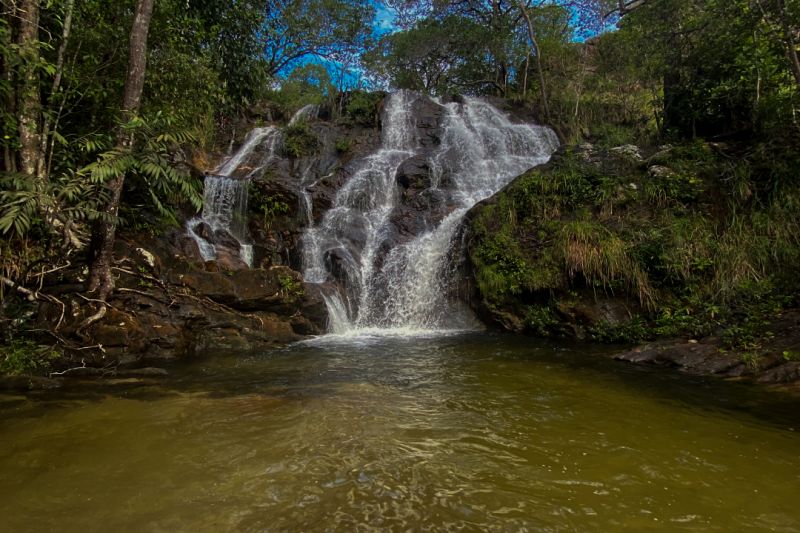  <div class='credito_fotos'>Foto: Ascom Ideflor-Bio &nbsp;&nbsp;|&nbsp;&nbsp; <a href='/midias/2024/originais/18631_bc801a1b-c44a-5fa1-47be-fadee1c4cc36.jpg' download><i class='fa-solid fa-download'></i> Download</a></div>