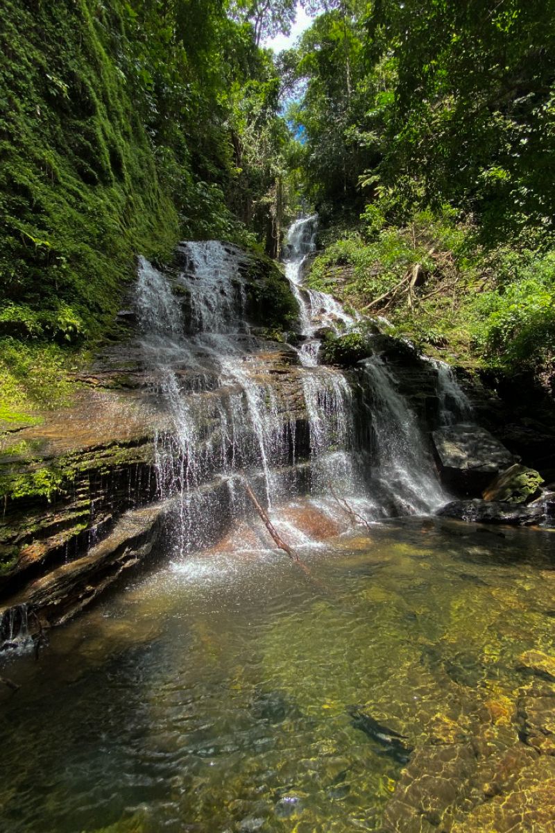  <div class='credito_fotos'>Foto: Ascom Ideflor-Bio &nbsp;&nbsp;|&nbsp;&nbsp; <a href='/midias/2024/originais/18631_cc8c4243-70c1-e64c-f4a3-12b565bf047b.jpg' download><i class='fa-solid fa-download'></i> Download</a></div>