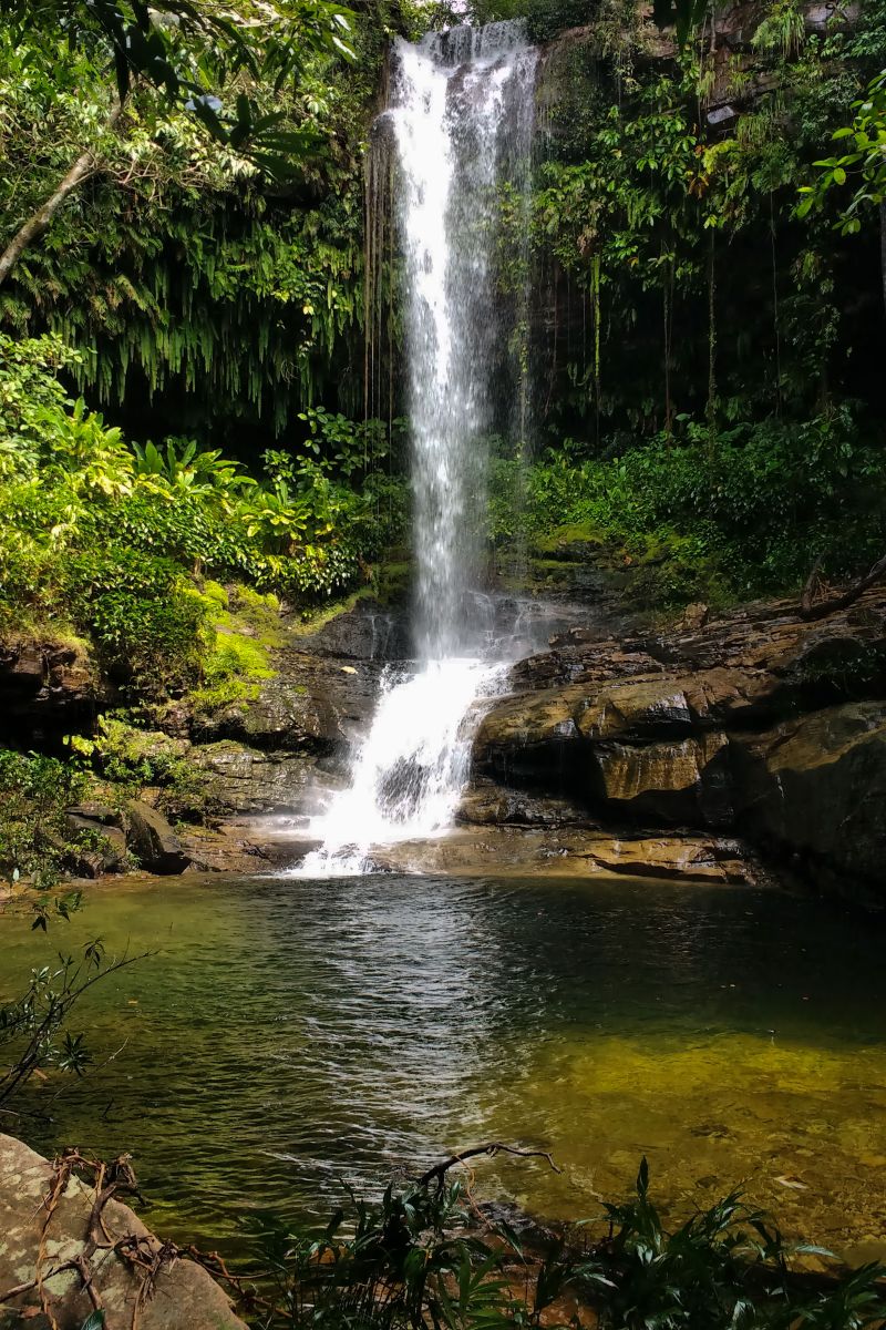  <div class='credito_fotos'>Foto: Ascom Ideflor-Bio &nbsp;&nbsp;|&nbsp;&nbsp; <a href='/midias/2024/originais/18631_ede81280-da63-09bf-22e1-6ea9c7101ee8.jpg' download><i class='fa-solid fa-download'></i> Download</a></div>