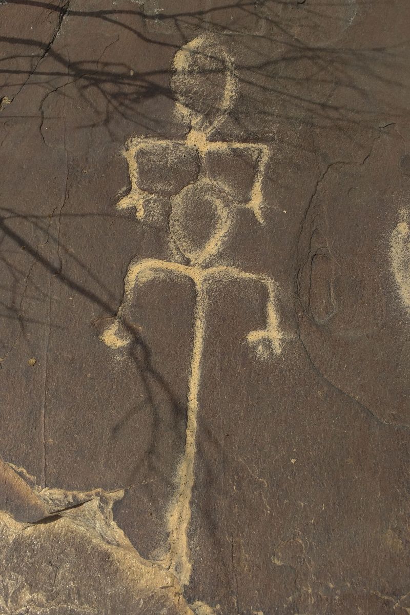  <div class='credito_fotos'>Foto: Ascom Ideflor-Bio &nbsp;&nbsp;|&nbsp;&nbsp; <a href='/midias/2024/originais/18631_f2e3e258-e006-f97a-2569-2daabc05be78.jpg' download><i class='fa-solid fa-download'></i> Download</a></div>