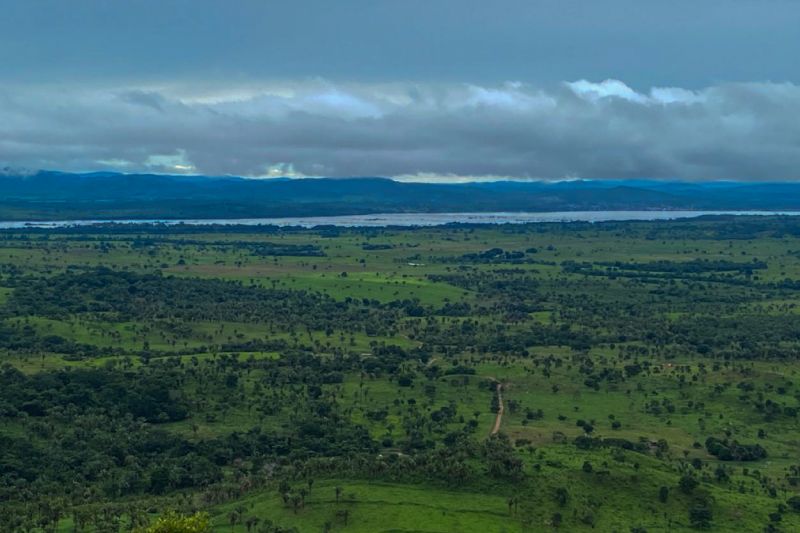  <div class='credito_fotos'>Foto: Ascom Ideflor-Bio &nbsp;&nbsp;|&nbsp;&nbsp; <a href='/midias/2024/originais/18631_f2e9c184-bb41-c365-e842-9cd07583cdf4.jpg' download><i class='fa-solid fa-download'></i> Download</a></div>