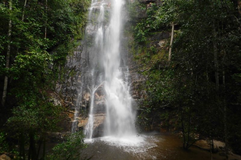  <div class='credito_fotos'>Foto: Ascom Ideflor-Bio &nbsp;&nbsp;|&nbsp;&nbsp; <a href='/midias/2024/originais/18631_f70f53c7-2348-bb05-aedd-7cac442ab040.jpg' download><i class='fa-solid fa-download'></i> Download</a></div>