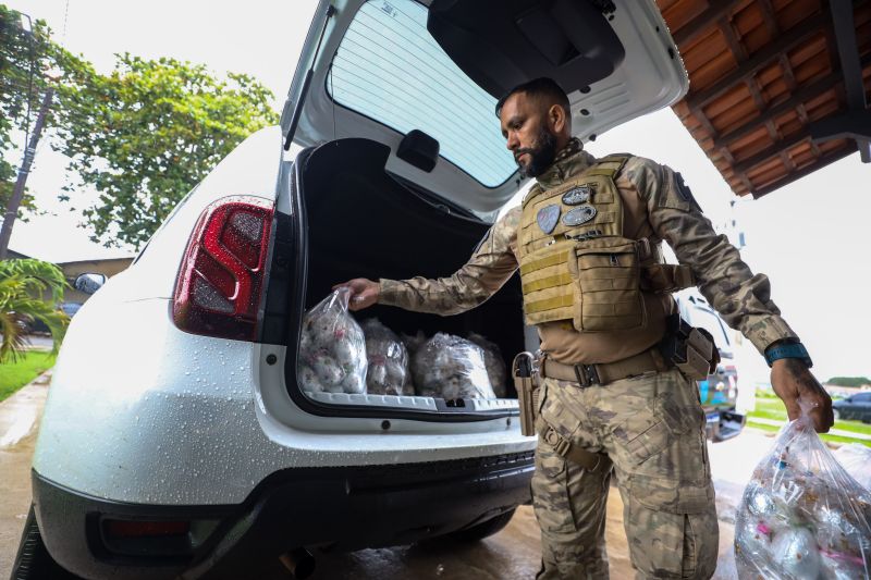  <div class='credito_fotos'>Foto: Rodrigo Pinheiro / Ag.Pará &nbsp;&nbsp;|&nbsp;&nbsp; <a href='/midias/2024/originais/18633_1ae209e0-2a90-b3e0-2f53-24afca26a141.jpg' download><i class='fa-solid fa-download'></i> Download</a></div>