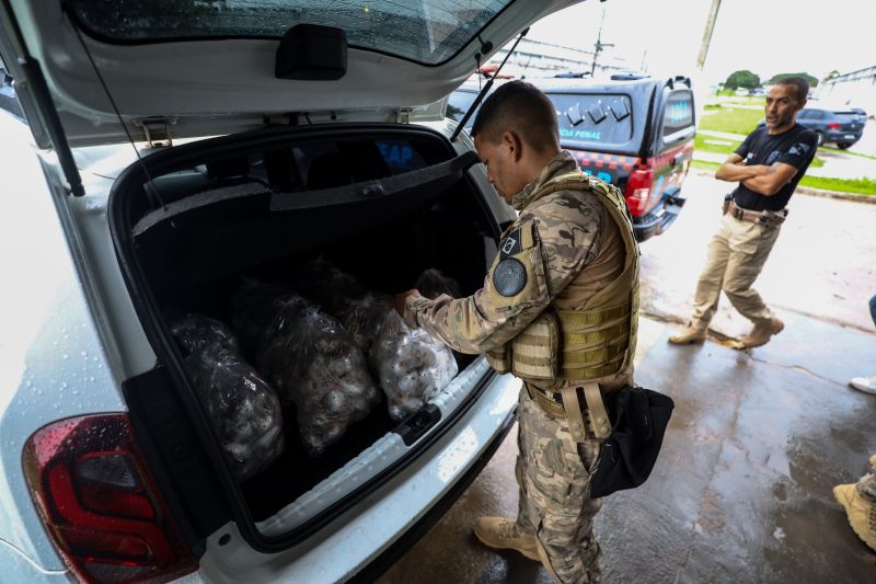  <div class='credito_fotos'>Foto: Rodrigo Pinheiro / Ag.Pará &nbsp;&nbsp;|&nbsp;&nbsp; <a href='/midias/2024/originais/18633_43ef22f7-3fef-ea0d-4542-9281add64881.jpg' download><i class='fa-solid fa-download'></i> Download</a></div>