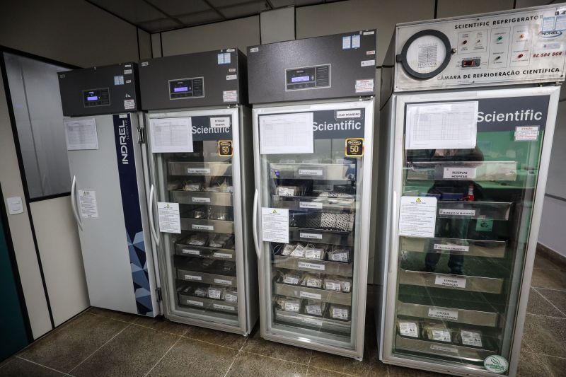  <div class='credito_fotos'>Foto: Marcelo Lelis / Ag. Pará &nbsp;&nbsp;|&nbsp;&nbsp; <a href='/midias/2024/originais/18642_99a5008e-c21b-f85e-73e6-a62e0e62d278.jpg' download><i class='fa-solid fa-download'></i> Download</a></div>