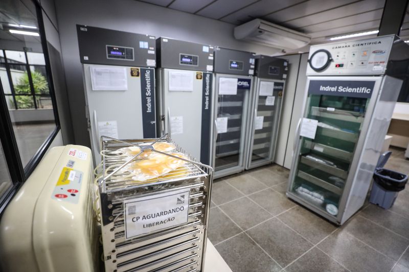  <div class='credito_fotos'>Foto: Marcelo Lelis / Ag. Pará &nbsp;&nbsp;|&nbsp;&nbsp; <a href='/midias/2024/originais/18642_b4613256-bbfe-e5d5-edb1-427f1b811167.jpg' download><i class='fa-solid fa-download'></i> Download</a></div>