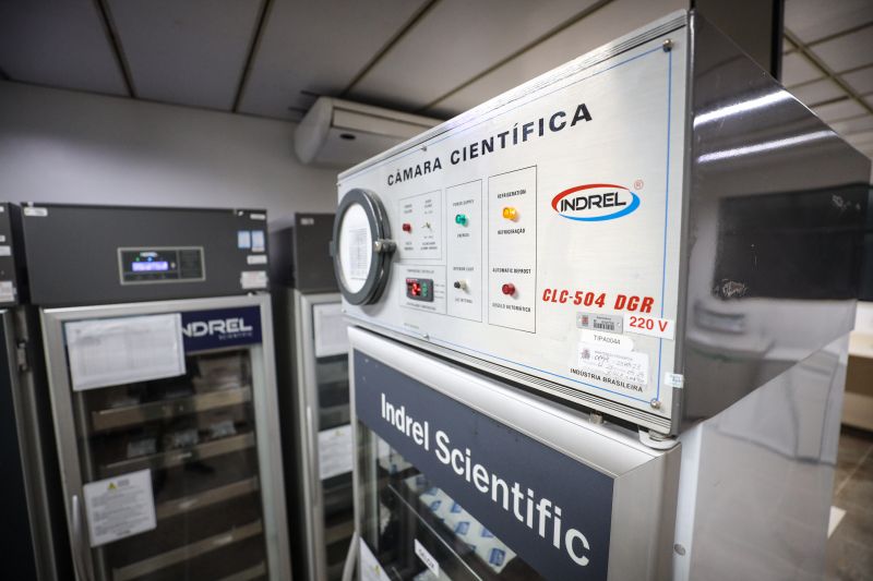  <div class='credito_fotos'>Foto: Marcelo Lelis / Ag. Pará &nbsp;&nbsp;|&nbsp;&nbsp; <a href='/midias/2024/originais/18642_c23c31a7-215c-2790-bff5-b2a5a3516276.jpg' download><i class='fa-solid fa-download'></i> Download</a></div>