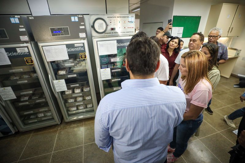  <div class='credito_fotos'>Foto: Rodrigo Pinheiro / Ag.Pará &nbsp;&nbsp;|&nbsp;&nbsp; <a href='/midias/2024/originais/18651_466d0cf0-8881-a046-6eb7-a293737e0d96.jpg' download><i class='fa-solid fa-download'></i> Download</a></div>