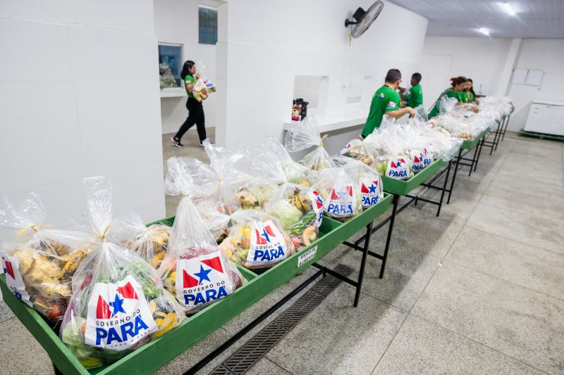  <div class='credito_fotos'>Foto: Marco Santos / Ag. Pará &nbsp;&nbsp;|&nbsp;&nbsp; <a href='/midias/2024/originais/18653_d30b1952-44e8-8f83-b943-fc711e14edae.jpg' download><i class='fa-solid fa-download'></i> Download</a></div>